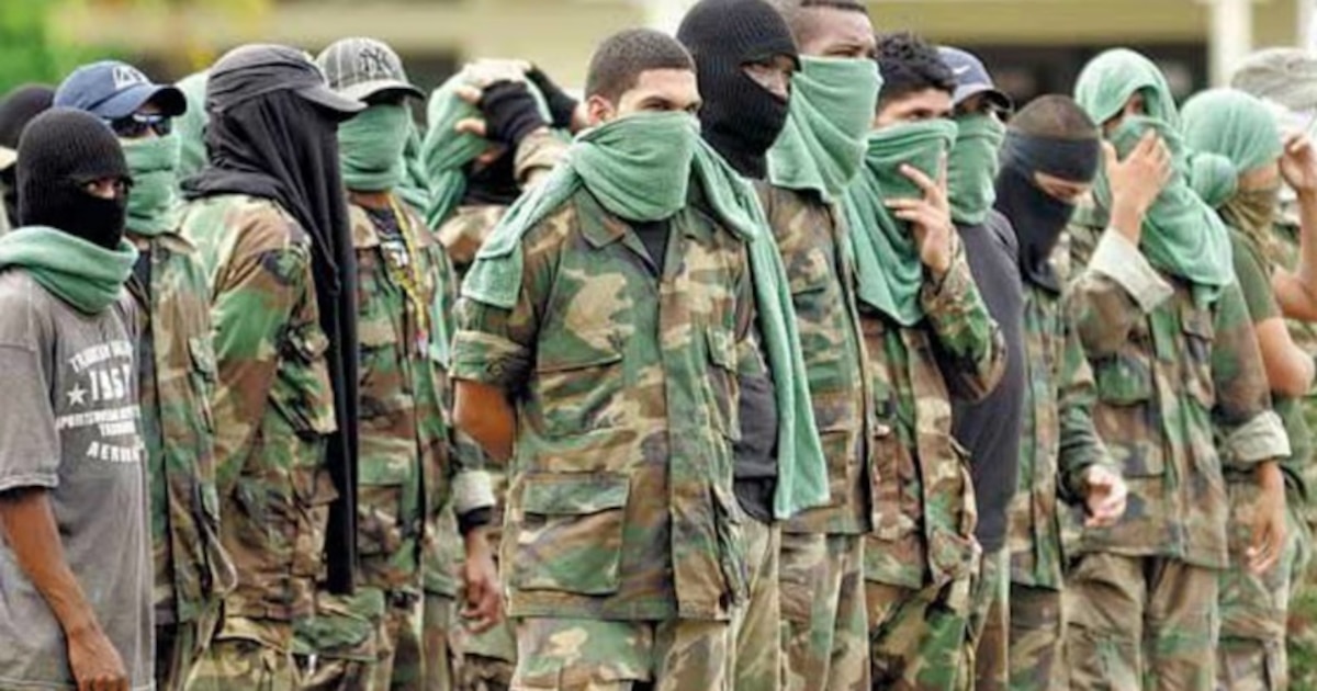 Miembros del Clan del Golfo en la selva colombiana